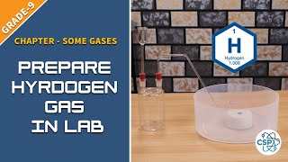 To Prepare Hydrogen Gas in Laboratory  NEB Class9 [upl. by Halland]