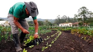 Importancia de la Agricultura Orgánica  TvAgro por Juan Gonzalo Angel [upl. by Normy956]