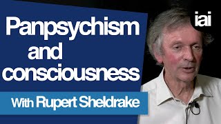 How Panpsychism Can Explain Consciousness  Rupert Sheldrake [upl. by Leatrice]