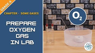 To Prepare Oxygen Gas in Laboratory amp Study its Properties  NEB Class9 [upl. by Coonan76]