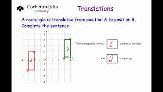 Translations  Primary [upl. by Nicky]