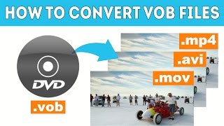 How to Convert a VOB File  Movavi Video Converter 15 [upl. by Maud]