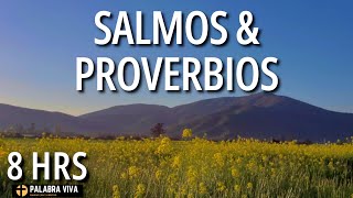 Salmos y Proverbios para dormir en paz  calma la ansiedad  8 HRS [upl. by Tartaglia594]