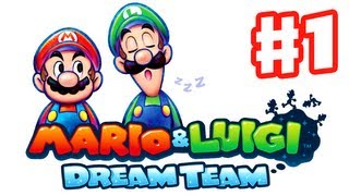 Mario amp Luigi Dream Team  All X Bosses No Damage [upl. by Elolcin]