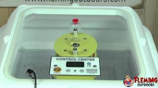 How To Incubate And Hatch Baby Chickens [upl. by Cappello]