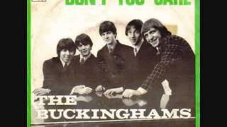 The Buckinghams DONT YOU CARE [upl. by Aufa]