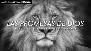 Las Promesas de Dios  Versiculos Biblicos Para Dormir [upl. by Llerat99]