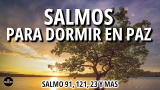 Salmos amp Proverbios para dormir en paz  Duerme escuchando la palabra de Dios  Biblia hablada [upl. by Filiano]