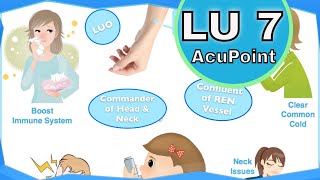 LU 7 Acupuncture Point Functions amp Location [upl. by Innig]