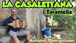 LA CASALETTANA TARANTELLA ANTONIO DONNANTUONI  ORGANETTO [upl. by Cherida]