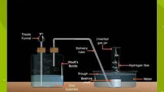 Laboratory Preparation Of Hydrogen [upl. by Zaria]