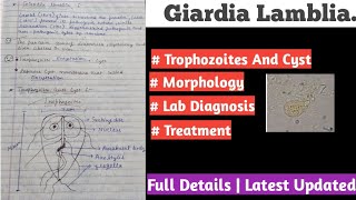 Giardia lamblia  giardia lamblia life cycle [upl. by Hseyaj]