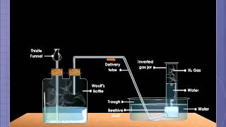 Laboratory Preparation of Dihydrogen [upl. by Centonze]